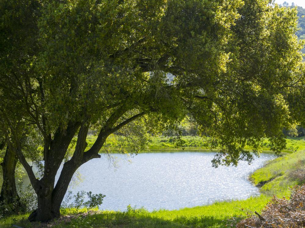 Rustridge Ranch & Winery St. Helena