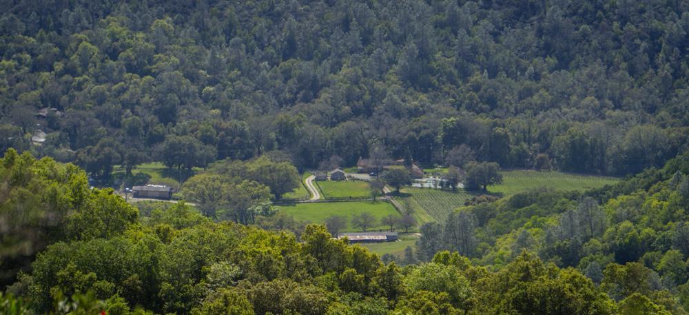 Rustridge Ranch & Winery Bed & Breakfast St. Helena
