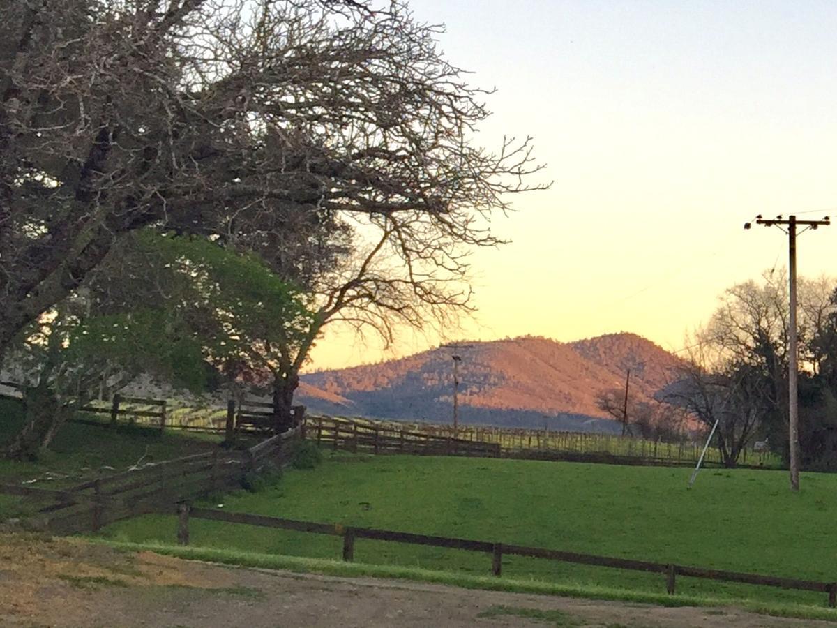 Bed & Breakfast Rustridge Ranch & Winery St. Helena