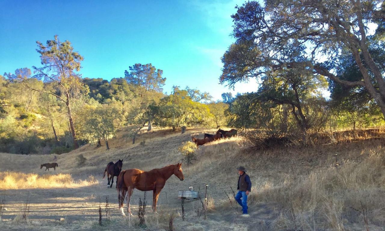 Bed & Breakfast Rustridge Ranch & Winery