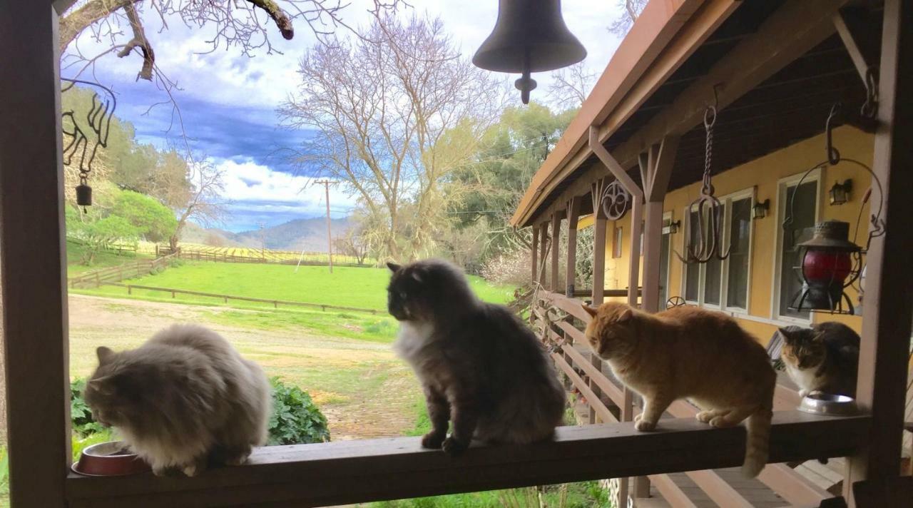 Rustridge Ranch & Winery Bed & Breakfast