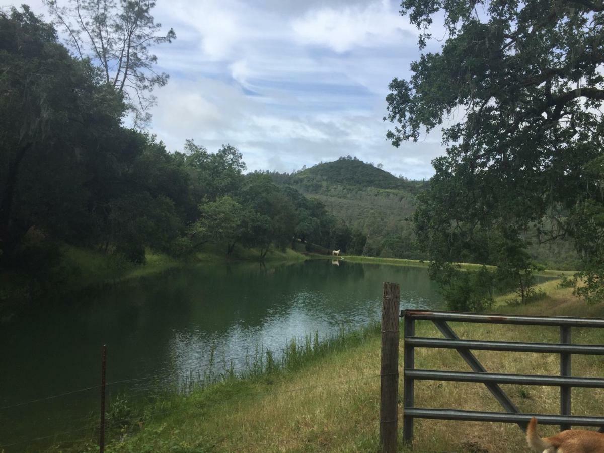 Rustridge Ranch & Winery Bed & Breakfast *
