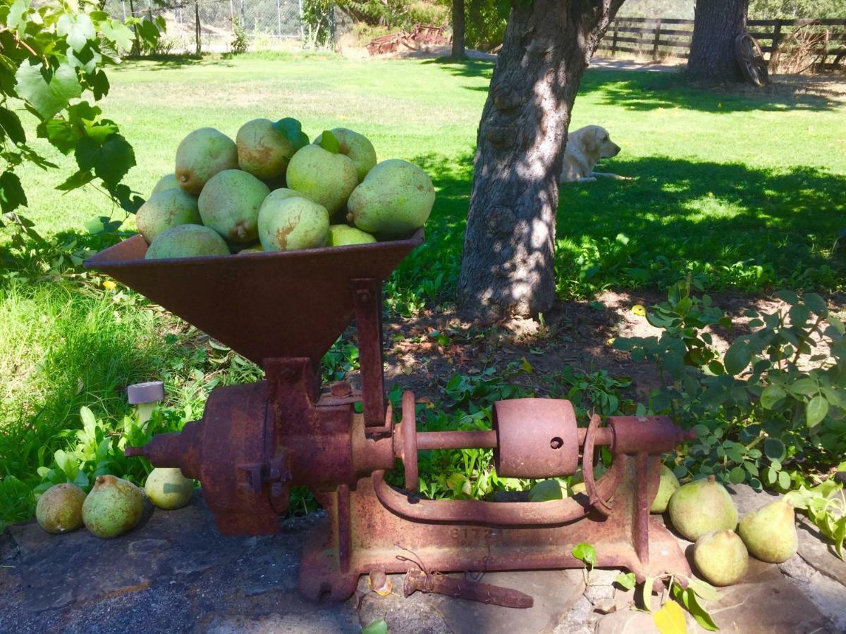 Rustridge Ranch & Winery Bed & Breakfast