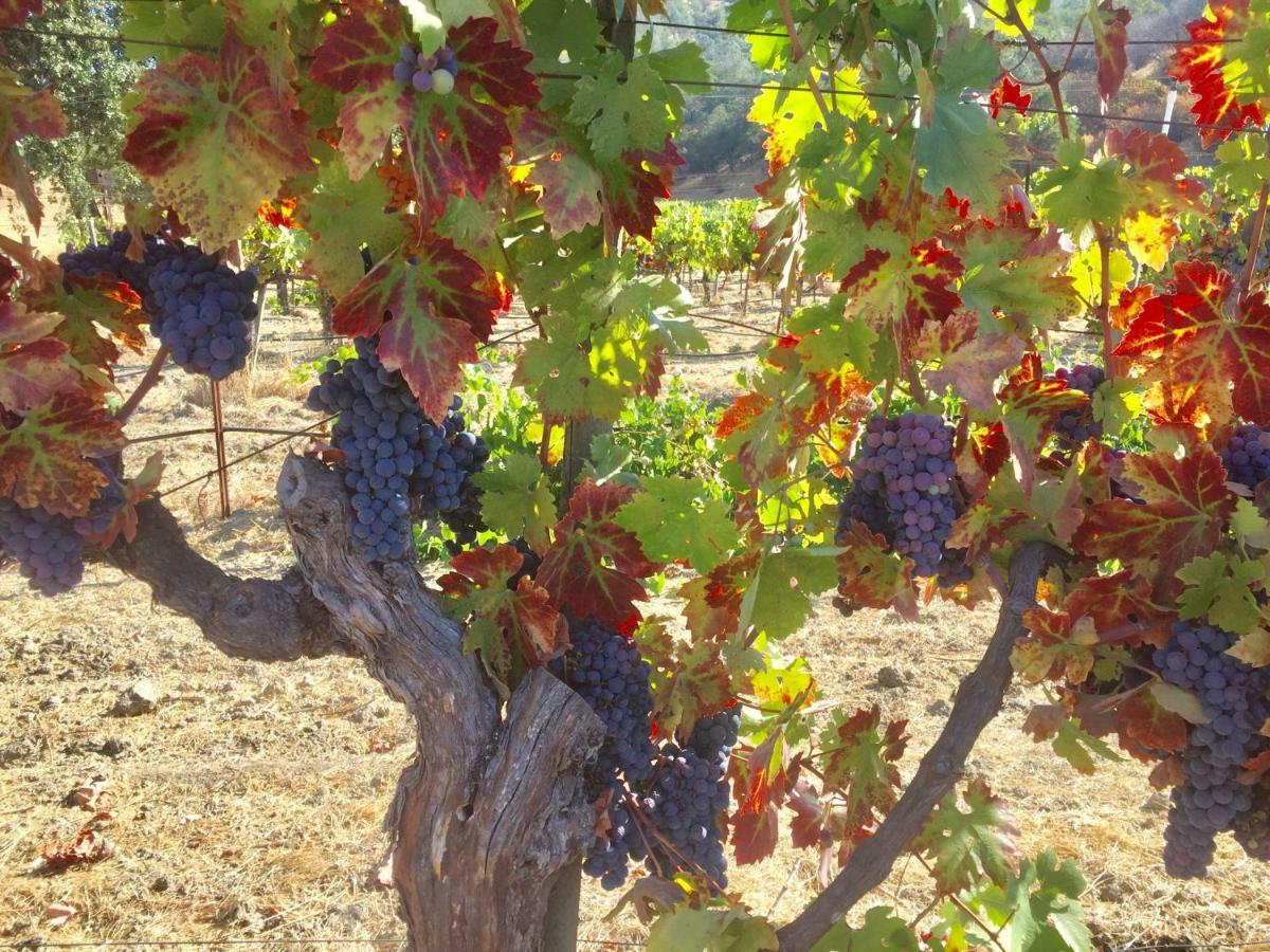 Rustridge Ranch & Winery *