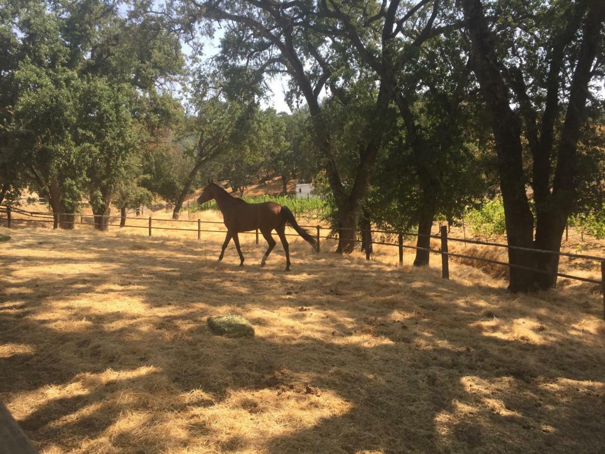 Bed & Breakfast Rustridge Ranch & Winery